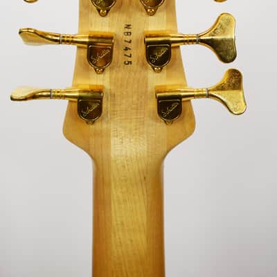 Spector Euro Series 6LX 6-String Fretless Bass Guitar with Zebrawood image 6