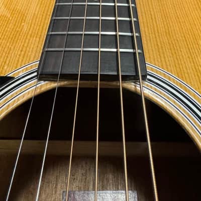 Rogue RG-624 Left-Handed Acoustic Guitar (Used) image 4