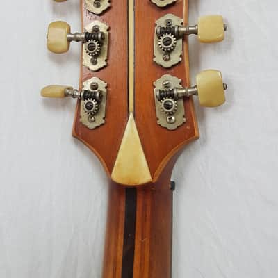 RARE Vintage 1949 Otto Meindl Migma Meister Jazz Guitar "Mein-Del" (Germany) image 16