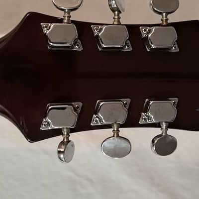 Epiphone FT-135 image 9