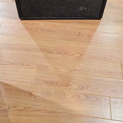 Audio Guild Corp. PANaramic 1-12" Combo 60-70s - Black image 3