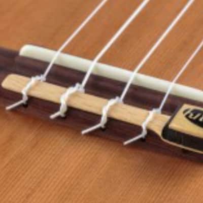 Kremona Coco Tenor Ukulele Cedar / Rosewood w/ Pickup. New with Full Warranty! image 6