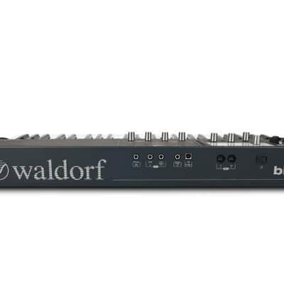 Waldorf Blofeld 49-Keyboard Black image 3