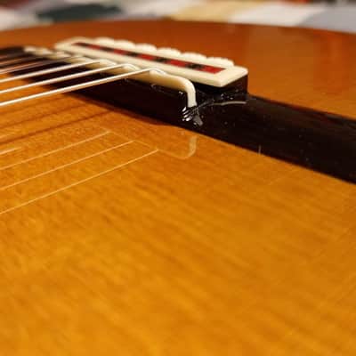 2020 Cordoba (Luthier Select Friederich) Classical Guitar image 10
