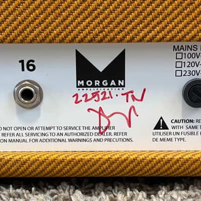 Morgan Amplification AC20 Deluxe 20w Guitar Head - Tweed imagen 5