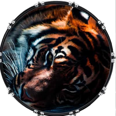 Custom Graphical 22" Kick Bass Drum Head Skin -Cat Tiger 2 image 1