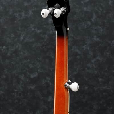 Ibanez Model B200 5-String Closed Back Banjo, Mahogany Gloss Resonator image 5