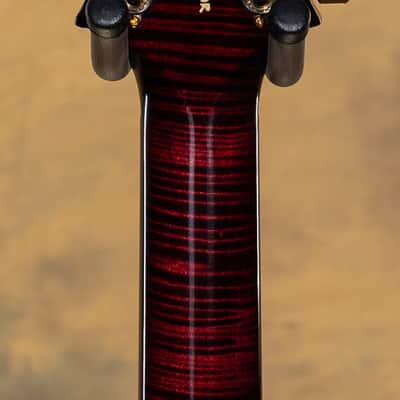 2023 PRS Wood Library Special Semi-Hollow Angry Larry 10 Top Brazilian image 6