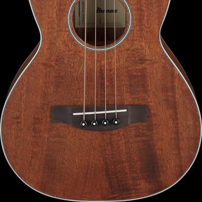 Ibanez PNB14EOPN Parlor Acoustic/Electric Bass - Open Pore Natural (PNB14EOPN) image 14