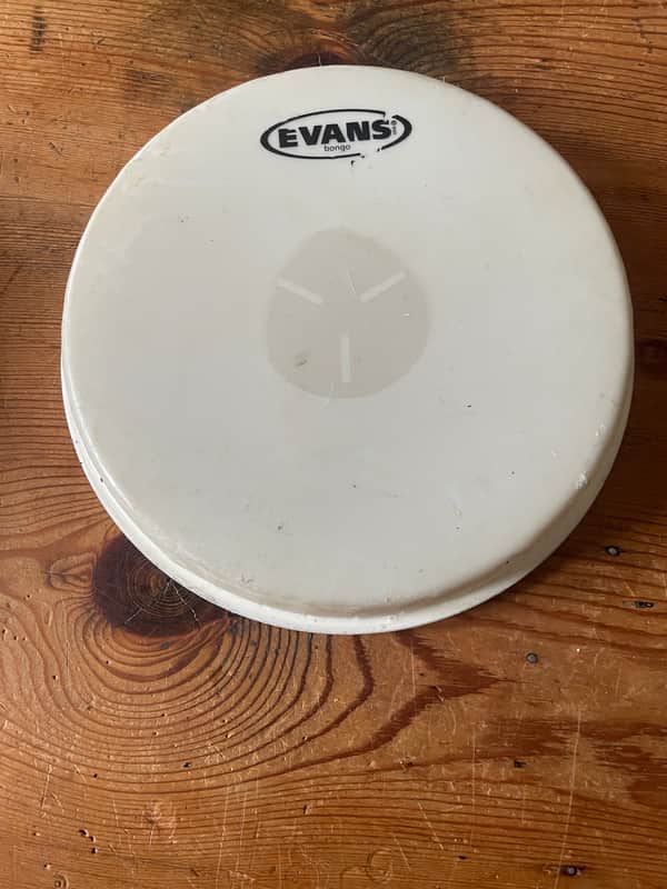 Evans EB97 7 1/4 2010’s  - synthetic drum head image 1