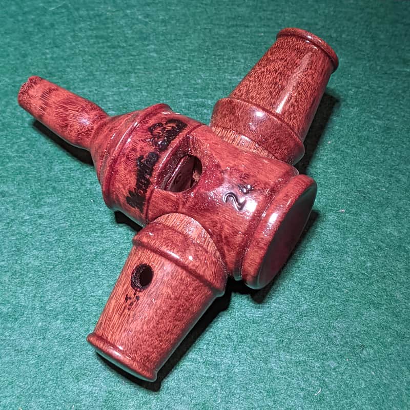 MAURILIO COELHO Pio No. 24