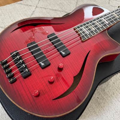 5 String Bass - Jazz Archtop - Semi Acoustic - Master Luthier image 1