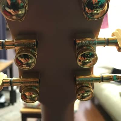 D'Angelico Deluxe DC Semi-Hollow Limited Edition Double Cutaway with Shield Tremolo image 5