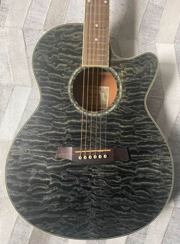 Ibanez AEG Series AEG25E Acoustic Electric Guitar - Includes gig bag, strap with locks and new pick. image 1
