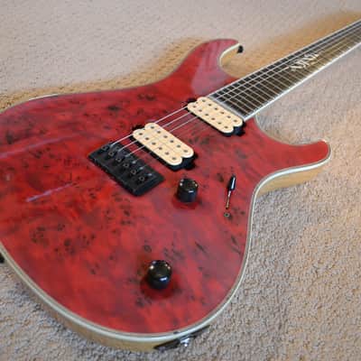 Mayones Regius 25th Anniversary image 4
