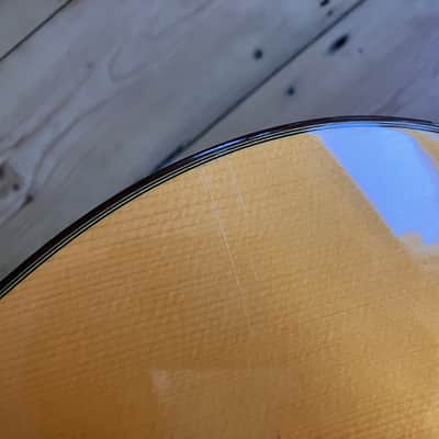 Cordoba 55FCE Thinline Electro Classical Acoustic Guitar Made in Spain 2006 image 22