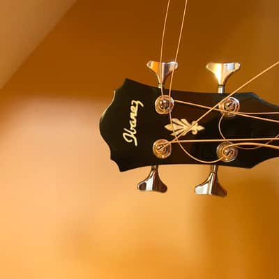 Ibanez AEB10E-NT 2011 Acoustic Electric Bass image 12