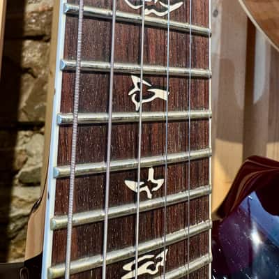PRS 25th Anniversary Custom 24 10-Top 2010 - Angry Larry image 5