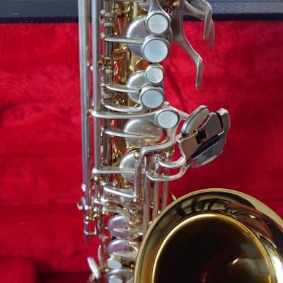 Borgani Vintage Alto Saxophone 1980 - Gold Lacquer with Nickel Silver Keys image 19