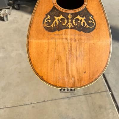 American Conservatory, Lyon & Healy Bowl Back Mandolin image 11