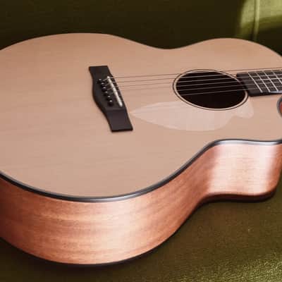 J.N Guitars Glen Oce N Avoustic/Electric Guitar image 3