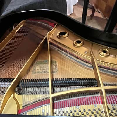 Pure Musical Magic - Gleaming Kawai Grand image 5