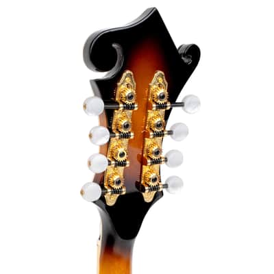 Gold Tone GM-70+ Professional Craved Solid Spruce Top Maple Neck F-Style 8-String Mandolin w/Hard Case image 10