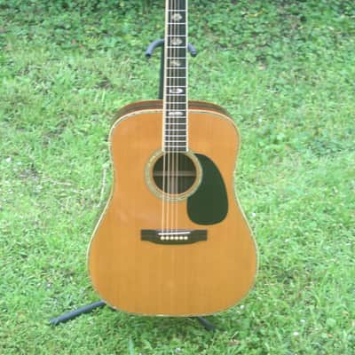 1976 Takamine Elite TW100 Jacaranda Body Natural+Vintage Hard Case image 3
