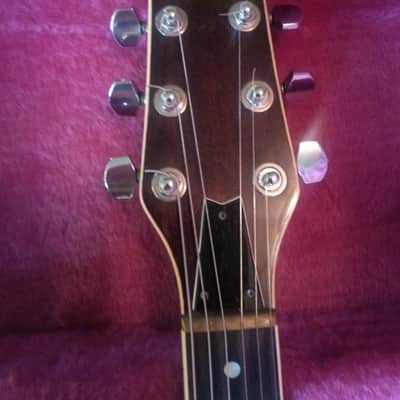 Washburn Falcon 1979 Chocolate Burst image 4