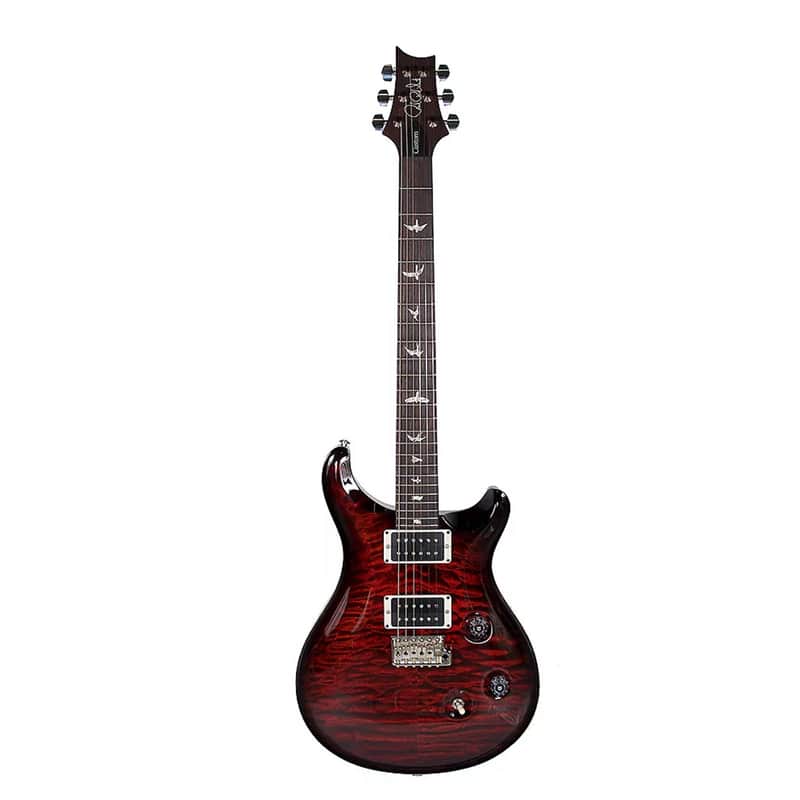 PRS Custom 24 Floyd image 3