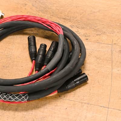 AVID DB25 to (6x)XLRM and (2x)XLRF DigiSnake - 10ft CG01UAG image 14