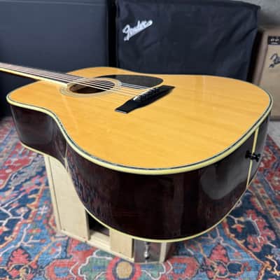 Morris D41 Style X-Braced Dreadnought Model W50 Jacaranda MIJ - 1970's image 17