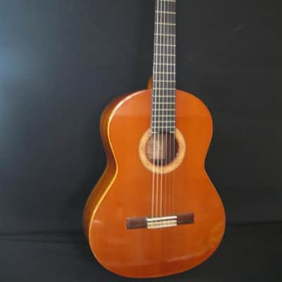 Alvarez Yairi CY116 Burled Mahogany/Cedar Top image 1