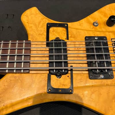 Fleishman 5-String Natural Dragon Bass *AS-IS NEEDS WORK* w/ Flight Case image 11