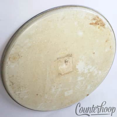 Ludwig Script 22"Playon Plastic Bass Drum Batter Head 60s+Slingerland Resonant2x image 2