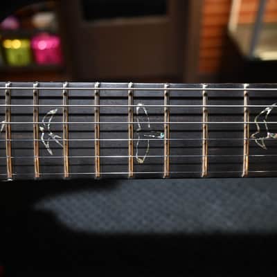 PRS Wood Library DGT 10-Top Ebony - Copperhead Cherry Burst #2554 image 8