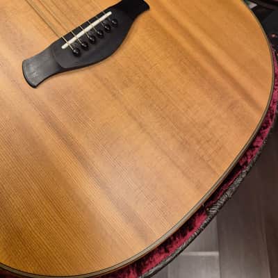 Taylor 717e Builder's Edition Grand Pacific V Class Bracing image 6