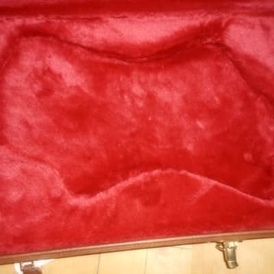 Gibson Thunderbird Case (New) image 4