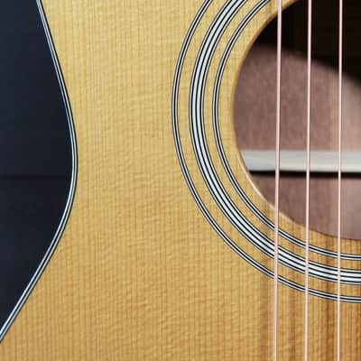 Eastman E10P-TC Thermo-Cure Parlor Guitar Mahogany / Adirondack image 16