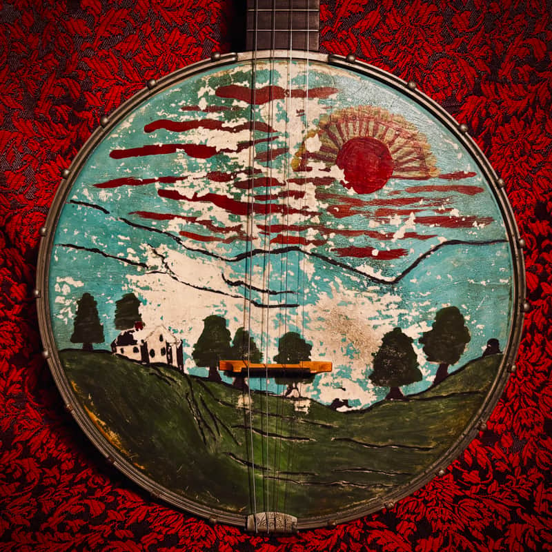 Rare 1920s Washburn Tenor Banjo Style E image 1