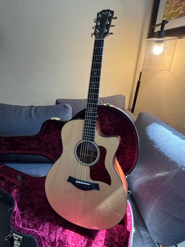 2016 Taylor 516ce image 1