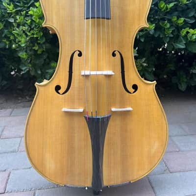 Standard full-scale 6 strings Cello-Arpeggione with 24 sympathetic strings#15388 image 3