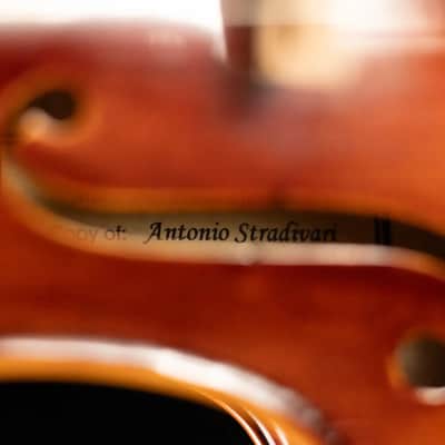 Scott Cao STA-750E Stradivari Viola - 15.5" image 14