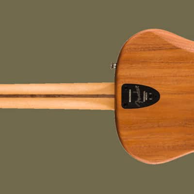 Fender Highway Series Parlour All Solid Acoustic Electro Guitar Incl Deluxe Gig Bag image 2