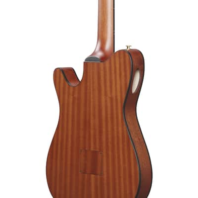 Ibanez FRH10N-IBF - 4/4 classical guitar image 5