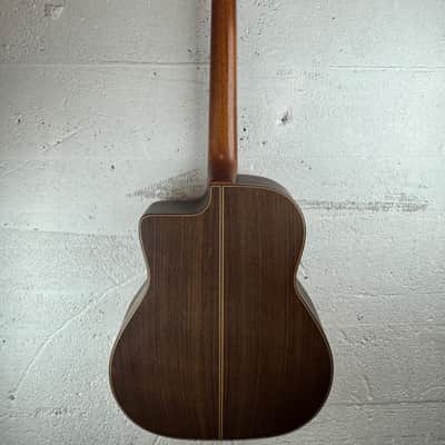Altamira M30 with gig bag image 3