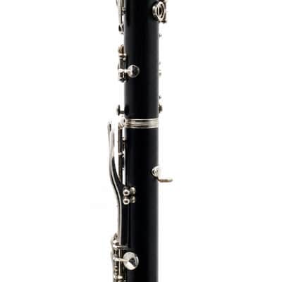 Buffet Crampon R13 Professional Bb Clarinet in Grenadilla SN 414280 image 8