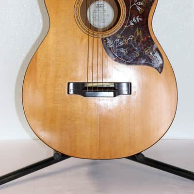 Rare Apollo Parlor No. 006 Acoustic Guitar With Hard Shell Case image 2