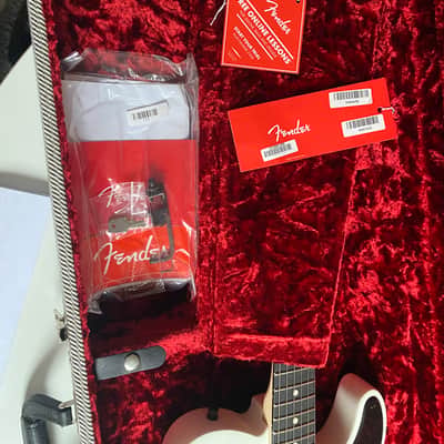 Fender Jim Root Artist Series Signature Telecaster 2008 - Present - Flat White image 5