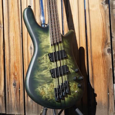 Spector NS Dimension 4 Multi Scale w/ Gig Bag - Haunted Moss Matte 4-String Bass image 4